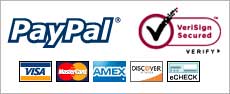 ITlinks PayPal